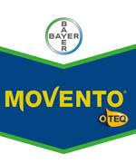 MOVENTO O-TEQ