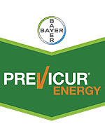 PREVICUR ENERGY 